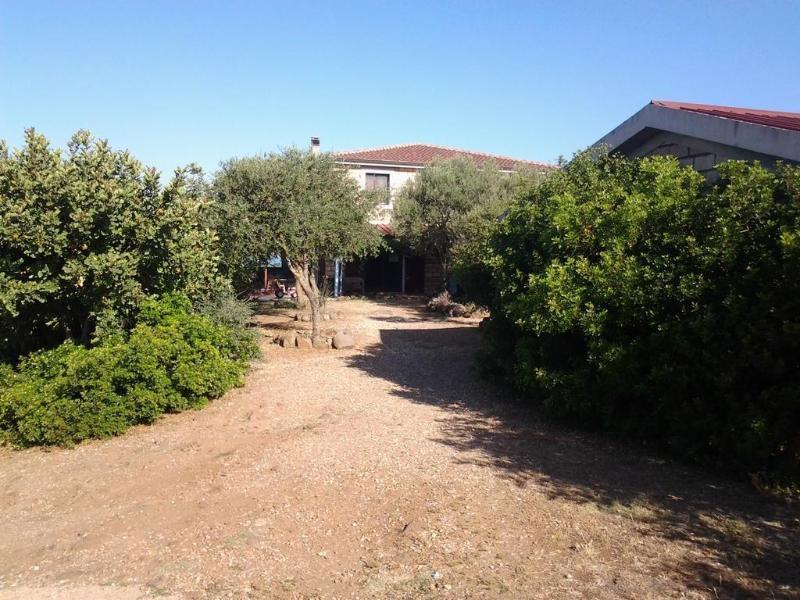 Agriturismo Sa Murta In Sennariolo-Oristano Εξωτερικό φωτογραφία