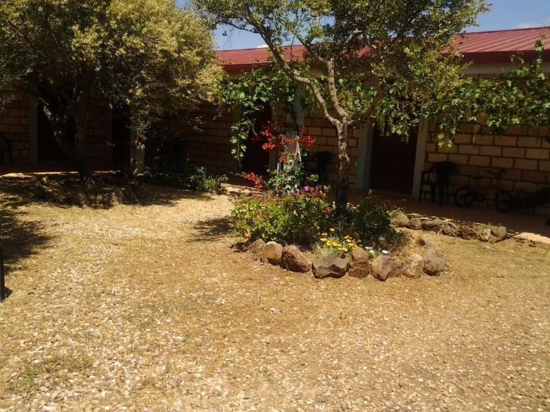 Agriturismo Sa Murta In Sennariolo-Oristano Εξωτερικό φωτογραφία