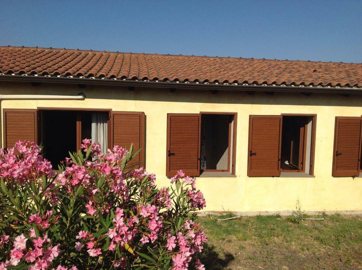 Agriturismo Sa Murta In Sennariolo-Oristano Εξωτερικό φωτογραφία